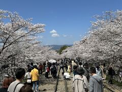 この辺りの下に「ねじりまんぽ」と言われる蹴上インクラインの下を横断するためのトンネルがある。
らせん状にレンガが積まれており、渦を巻いているように見えるから、そう呼ばれてるみたい。