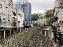 まずは駅前にある音無親水公園へ。