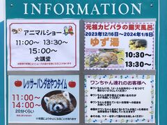 お次に向かったのは伊豆シャボテン公園。カピパラ目的です。