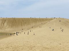 いざ、初・鳥取砂丘へ！
写真では見たことがあったけど、想像以上に砂漠感。