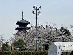 この日は曇りだけど、桜がきれい。

1608年完成の五重塔は関東最古。
法隆寺の五重塔は飛鳥時代だから次元が違う(￣∇￣)