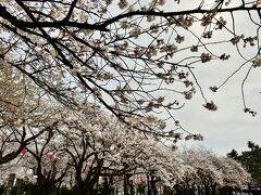 高岡古城公園