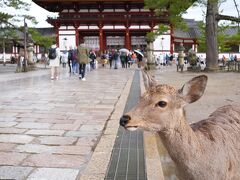 この辺りで雨が上がり…