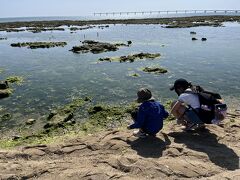 見送ったあとも、貝拾いが続く・・　

この海藻っぽいのは、アオサでしょうか。