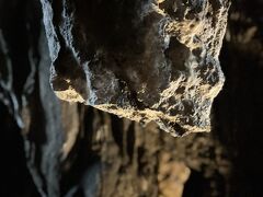 これは、50年前に何者かに折られてしまった鍾乳石、
真ん中に２つくらいポチ、ポチとあるのが50年で成長した部分！

鍾乳洞が太古から存在しているのがわかります。
ツアー前にガンガラーの谷ツアーの説明などをうけ出発！