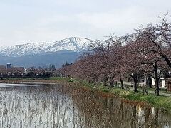 いざ出陣！(大袈裟)
昨日より、色づいてませんか？