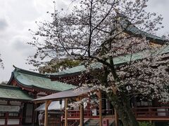 最初は大歳御祖神社に。神部神社・浅間神社・大歳御祖神社の三社を総称して静岡浅間神社というらしいです。境内のソメイヨシノはいい感じに咲いていました