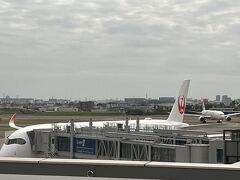 次の飛行機を見てたらなんかきましたよ。