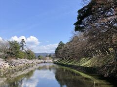 快晴と桜を楽しみました。