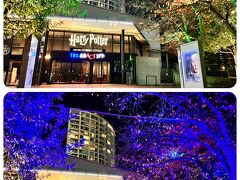 赤坂ACTシアター前の木も、４つの寮カラーに変化していました。

この右手にある坂道を通って、