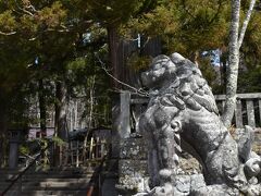 食事待ち時間に戸隠神社中社へお参り。狛犬