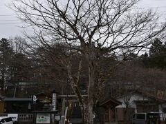 翌日は軽井沢にある熊野皇大神社へここは群馬県と長野県の県境にあるよくテレビで紹介される神社です。