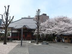 次は天妙国寺。日蓮宗のお寺です。