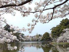 お隣の、大宮公園へ。