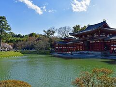 観光バスはひた走って宇治へ。宇治川を遊覧して桜を見るプランであったが、川の増水により運航中止（この部分の経費は返還されるそうだ）。すぐに平等院に向かった。

平等院は数十年前に訪れている。しかし詳しいことはすっかり忘れていて新鮮な感動を覚えた。鳳凰堂の鳳凰が金色に輝き、建物の美しさは池にマッチしている。ほぼ千年の時を経た景観である。

対岸の桜は咲いているようだ。