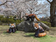 エレベーターて広場へ上がり、訪問時のお約束、レッサーパンダの像へ。