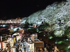 足羽川(あすわがわ)沿いの桜並木☆
すばらしいけど、激込み。笑

屋台が出ていたので、特に大賑わい☆