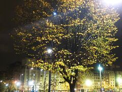 (写真) 6:24　アバホテル前のFelipe Serrate Kalea(フェリペ・セラテ・カレア)通り。

☆The Fifth Day☆　１２月１日　(金)
雨は止みませんが予定通りゲルニカへ。