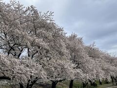 この奥には野球場やプールもあり、市民が集う公園です。