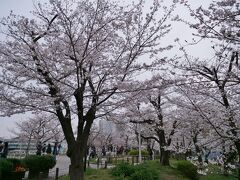 隅田公園側に戻ってきた♪