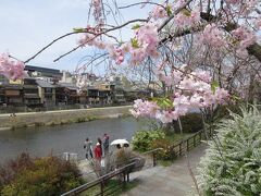 鴨川沿いも見ごたえあり

そりゃあ 人が集まるのも当然か
　