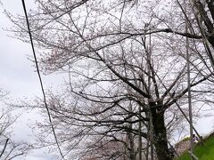 京都駅で一旦途中下車して荷物をコインロッカーに預け、烏丸線→東西線で蹴上駅へ。