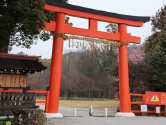 次の世界遺産の訪問場所は上賀茂神社です。駐車場から歩き一の鳥居の所まで来ました。この日は雨の中、ときにはかなり激しく降る中での参拝です。もう桜どこではなくなる雰囲気です。