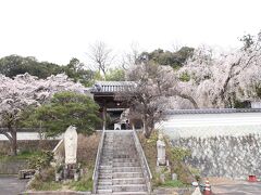 千光寺
正面