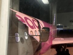 19:35発のピーチ航空MM118便、関西空港には22:00の到着。その後ＪＲ阪和線を使って(もちろん18きっぷで)帰宅、６日間の長い旅を終えました。

おわり・・・