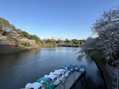 千鳥ヶ淵緑道ボート乗り場。

土日は数時間待ちと聞いたけど、平日のこの日は乗っている人が少なめでした。