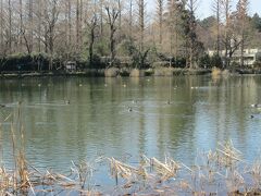 井の頭恩賜公園