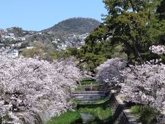 夙川公園
　夙川の両岸に南北2.8kmに約1700本の桜が植えられています。
　西宮の桜の名所の１つです。
　1990年（平成2年）日本さくらの会選定による全国
　「さくら名所100選」にも選ばれています。