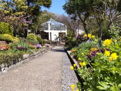 北山緑化植物園
　1982年に開園した総面積は9ヘクタールの植物園です。
　多くの植物が栽培されています。温室もあります。
　オオシマザクラ、ヤエベニシダレサクラ、タイハクなどの桜が
　満開でした。