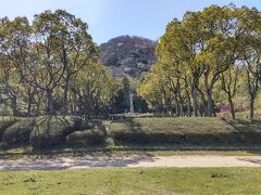 甲山森林公園
　六甲山地の東、甲山南東麓と西麓に広がる面積83haの広い公園です。
　公園の90%が森林に覆われている自然豊かな公園です。
　のんびりウオーキングするのにもgoodなスポットです。