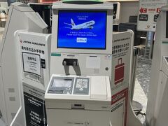 大韓航空のソウル経由で行くより8000円くらい高いだけだったので、JALにしました。