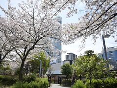 　　　　　　　　桜の向こうにハルカス☆ 

　　　　　　　

　　　　　　　
　　　　