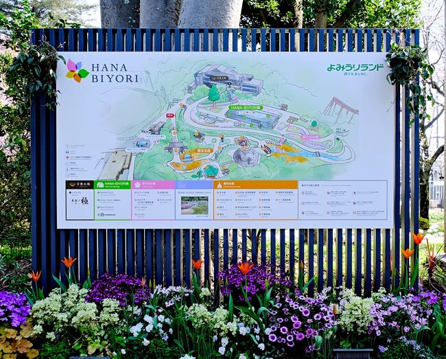 春爛漫☆フラワーガーデンを巡る旅【1】よみうりランド花の庭園