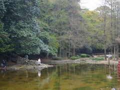 四国に渡り、先ずは徳島中央公園に在る、徳島城址を訪れます。