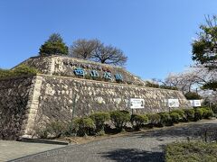 今年は桜の開花が遅れたので、偶然ですがちょうどいい時期に来ることができました

そして、２日目は晴れたので嬉しい！

まずは鯖江市の西山公園の桜を見に行ってみました