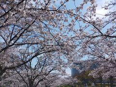 白山公園