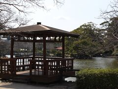 １１時前に、大村公園の駐車場に着きました。
肥前大村藩五万石の玖島城跡があり、季節を迎えると桜や花菖蒲が愛でられるそうです。
