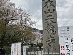 散歩に出かけます。
いっぱい桜を見て疲れているので、天龍寺は素通り。。。