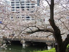 　東京ガーデンテラス紀尾井町のテラスの小径から、桜越しに見た弁慶橋です。東京でも弁慶？と思ったら、この橋を造ったのが弁慶小左衛門さんでした。