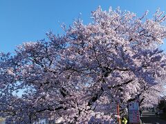 大河原駅から歩いて5分くらいで到着です美しい！