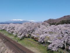 一目千本桜美しいですね