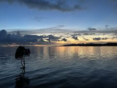 夕日の時間だったので、名蔵湾にある1本ヒルギでサンセットタイム。
雲多め＆ちょっと遅かった・・・。

いつの間にかめちゃくちゃ有名になって、人が来るようになったので、
俺の釣り場が占領されている・・って地元のおじちゃんが嘆いていました。