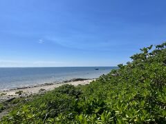 白保の海岸もすぐそこなので、海を見にいきました。