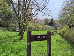 近くの小峰公園へ移動。