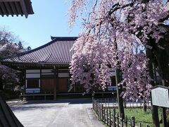 円東寺のしだれ桜