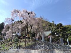 最後は、梅岩寺へ。